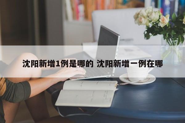 沈阳新增1例是哪的 沈阳新增一例在哪