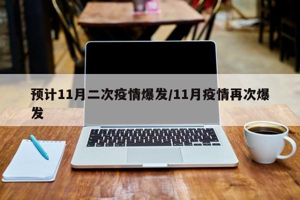 预计11月二次疫情爆发/11月疫情再次爆发